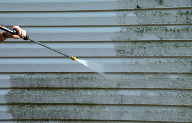 Best Pressure Washing Siding  in Cedar Heights, MD