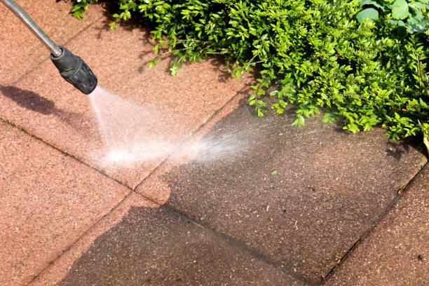 Best Local Pressure Washing Services  in Cedar Heights, MD