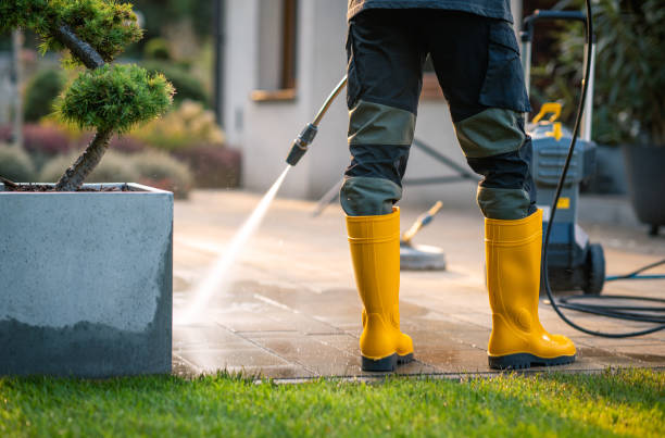 Best Power Washing Near Me  in Cedar Heights, MD